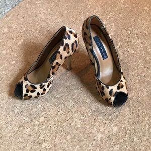 Leopard Heels Steve Madden
